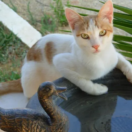 Appartement Horizon View