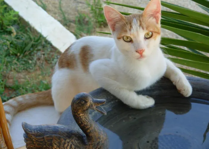 Διαμέρισμα Horizon View