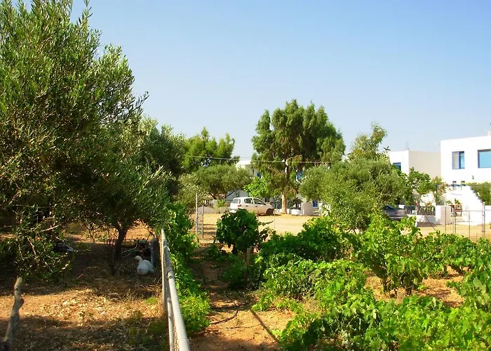 Διαμέρισμα Horizon View Αμμοοπή