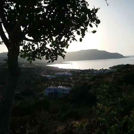Daire Horizon View